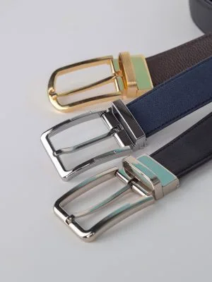 ALDO BELT 1 1694057306th