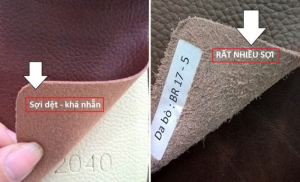 Quan Sát Đường May Và Lớp Lót